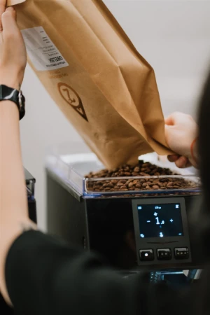 Coffee Appreciation Workshop